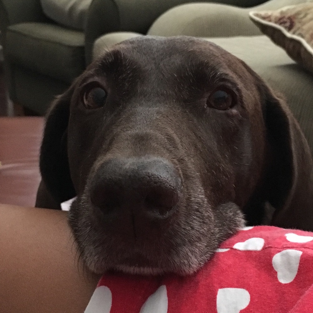 Meet your Posher, Sofia